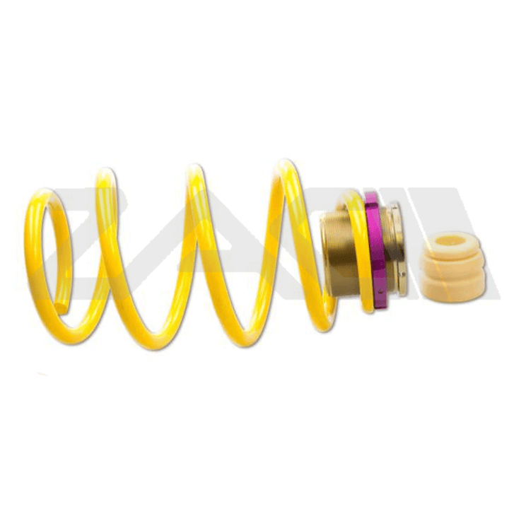 E63 AMG Adjustable Spring Kit