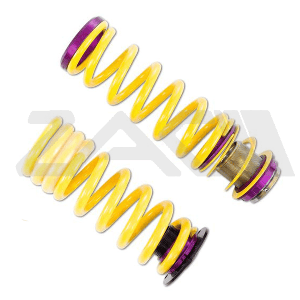 AMG C43 Adjustable Spring Kit